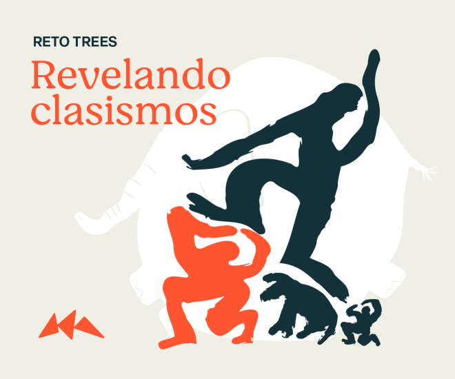 Reto TREES: equipos seleccionados 2025