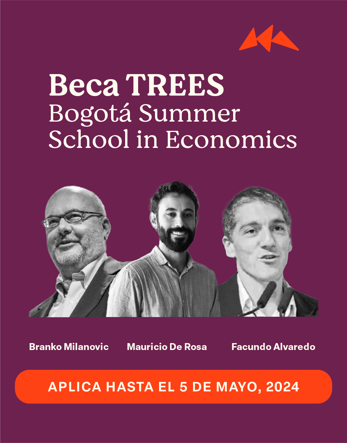 Beca TREES – Bogotá Summer School in Economics 