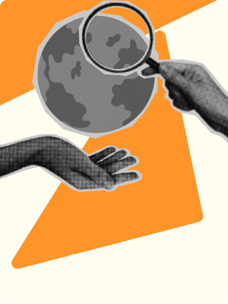 Imagen del componente de investigación